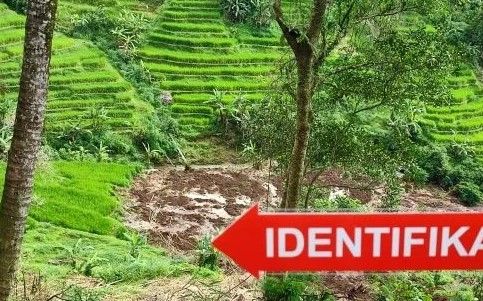 podiumnews.com-Hujan Deras, Senderan Irigasi di Jatiluwih Ambrol